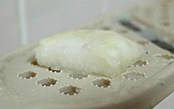 f:id:mikanusagi:20181104030807j:plain