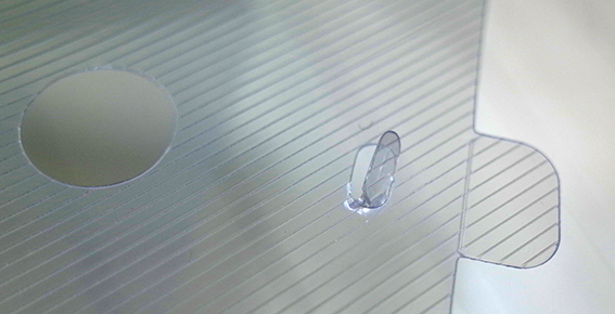 f:id:mikanusagi:20181119053243j:plain