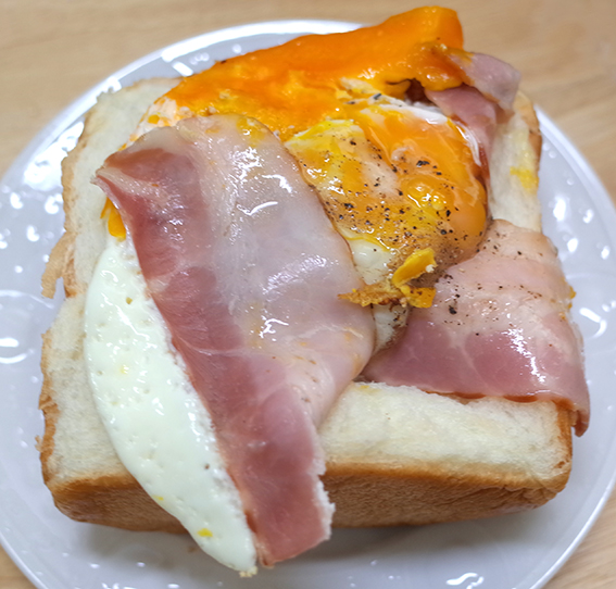 f:id:mikanusagi:20190128200210j:plain