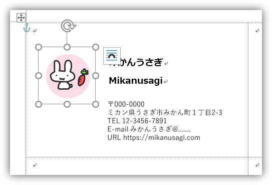 f:id:mikanusagi:20190317122402p:plain f:id:mikanusagi:20190317122402p:plain