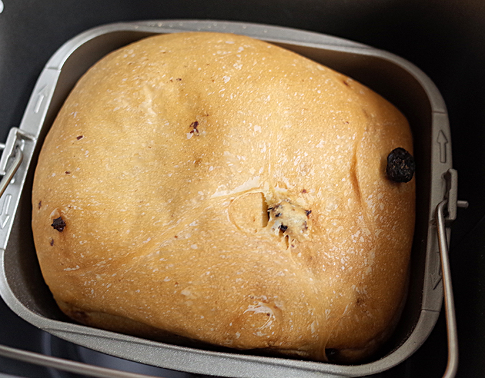 f:id:mikanusagi:20200412172140j:plain