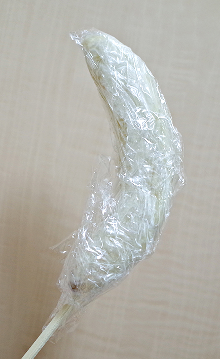 f:id:mikanusagi:20200829215908j:plain
