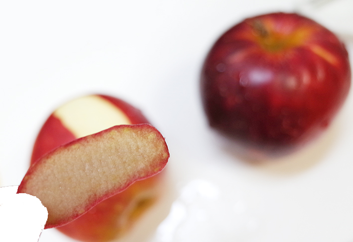 f:id:mikanusagi:20210114183646j:plain