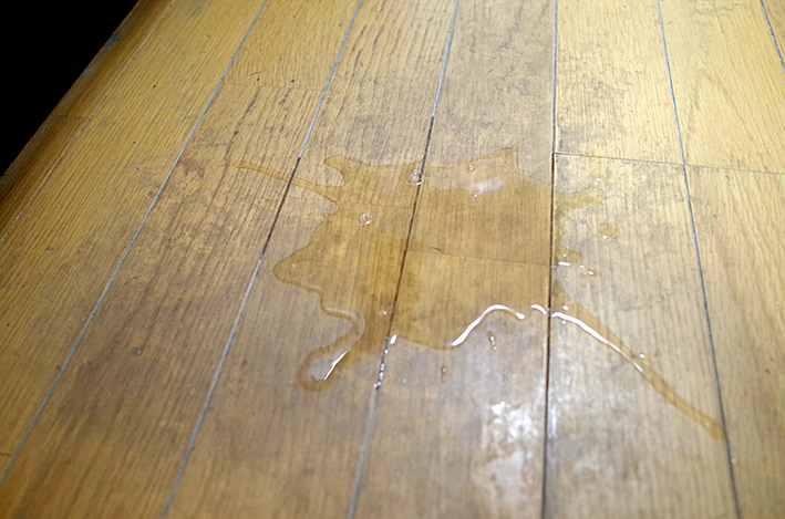 f:id:mikanusagi:20210623112841j:plain