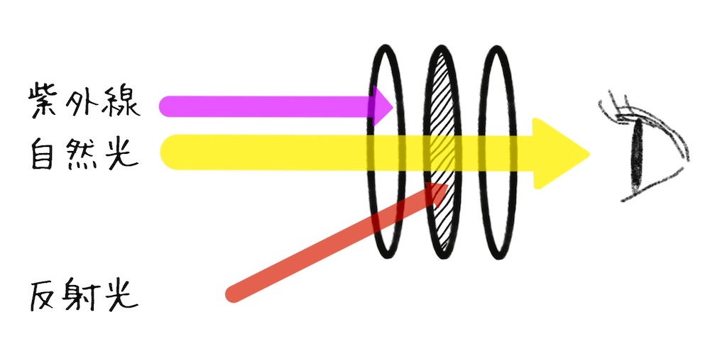 f:id:mikanusagi:20220710224037j:image