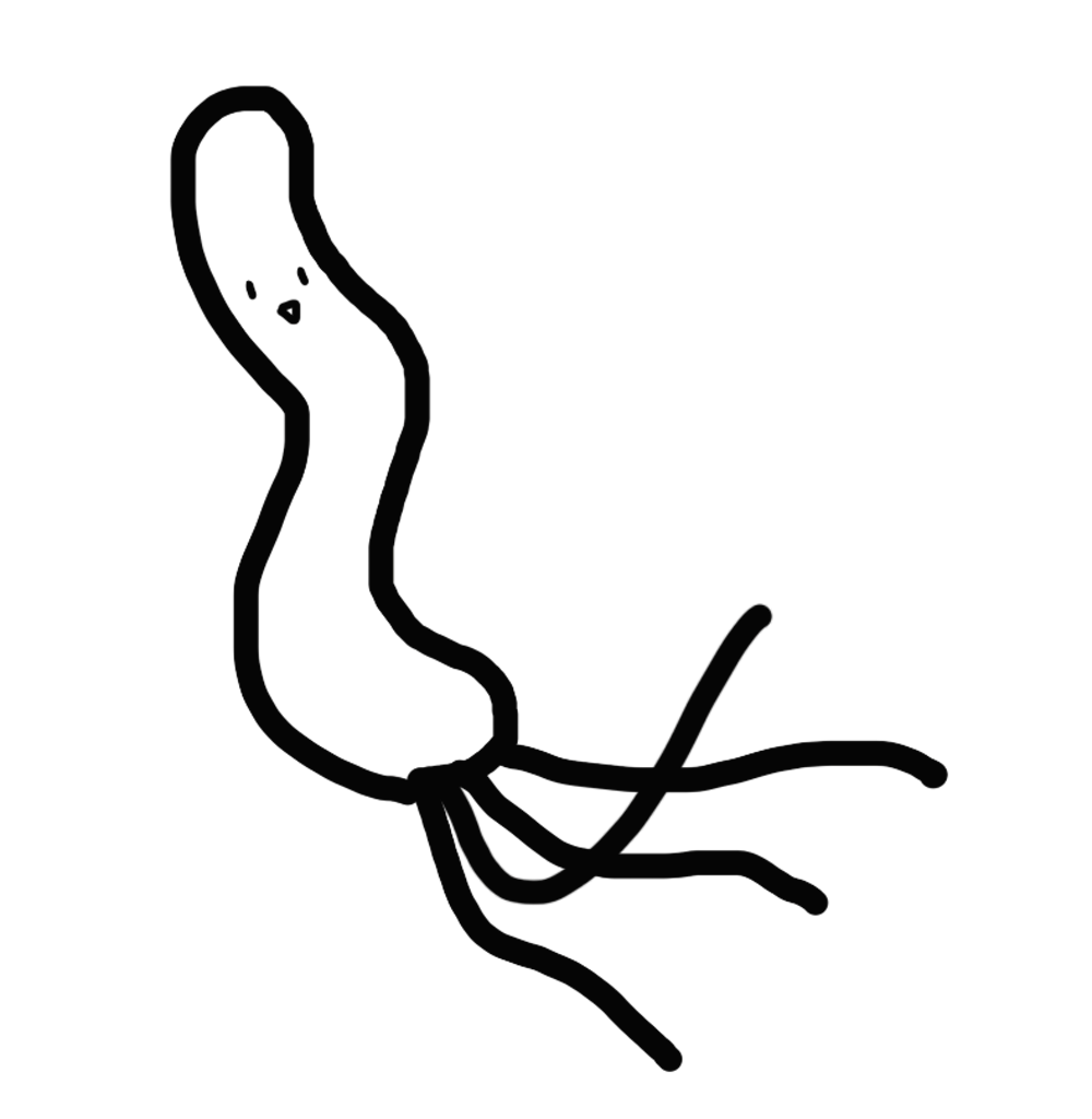 f:id:mikanusagi:20220919015715p:image f:id:mikanusagi:20220919015715p:image