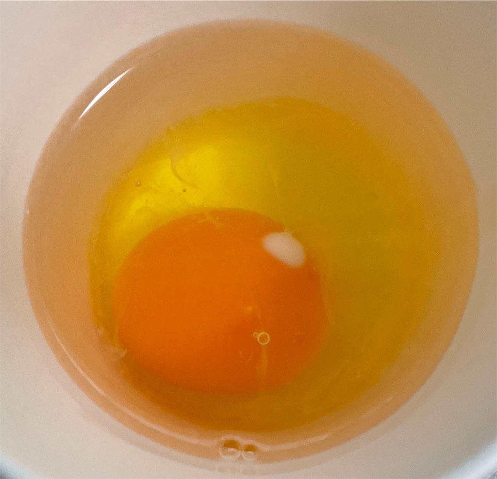 f:id:mikanusagi:20221201075832j:image