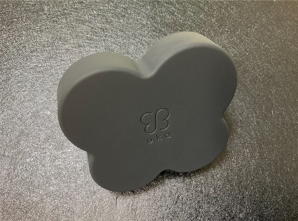 f:id:mikanusagi:20230512105120j:image f:id:mikanusagi:20230512105120j:image