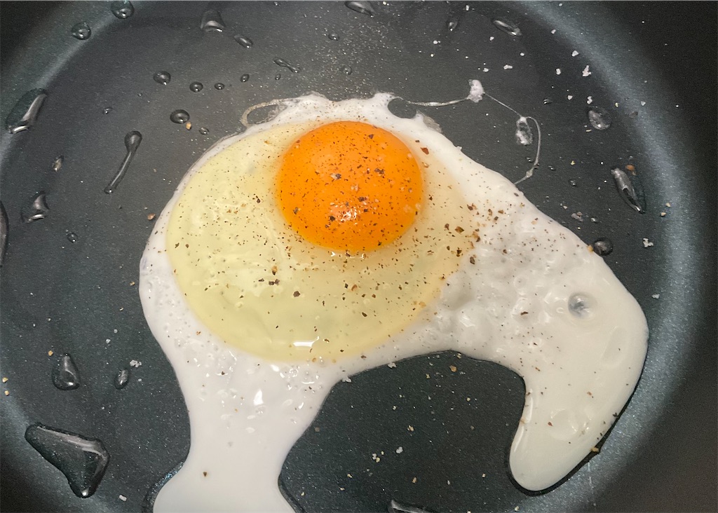 f:id:mikanusagi:20230521130920j:image