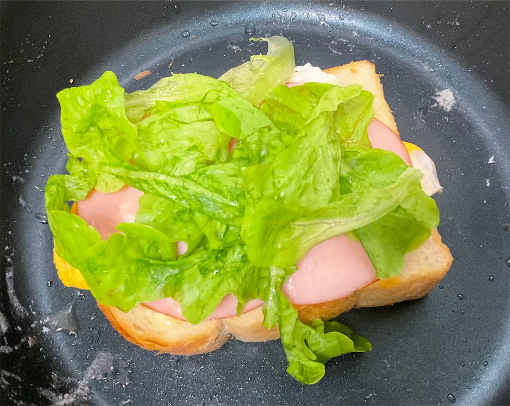 f:id:mikanusagi:20230521131037j:image