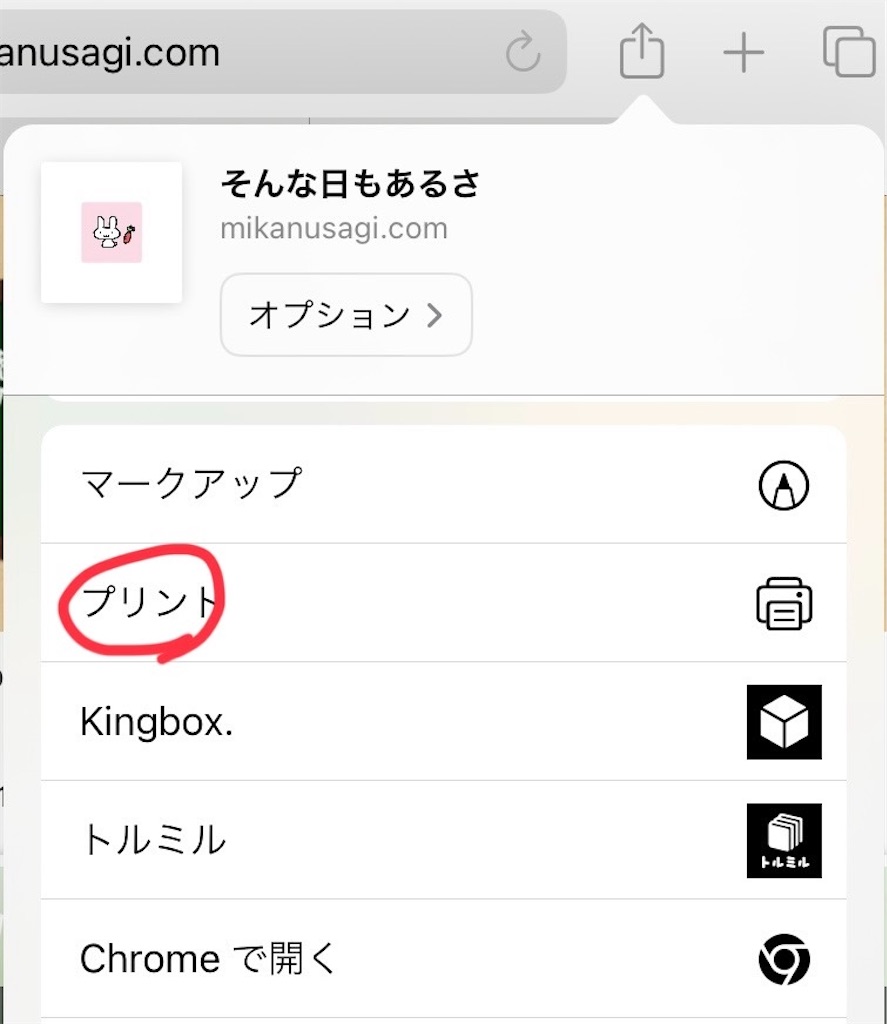 f:id:mikanusagi:20240107170815j:image f:id:mikanusagi:20240107170815j:image