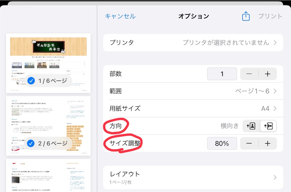 f:id:mikanusagi:20240107170910j:image f:id:mikanusagi:20240107170910j:image