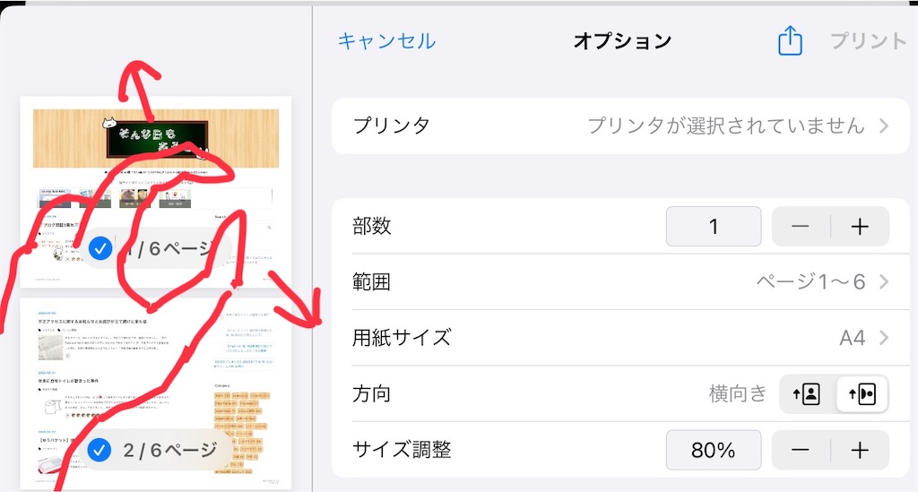 f:id:mikanusagi:20240107171710j:image f:id:mikanusagi:20240107171710j:image