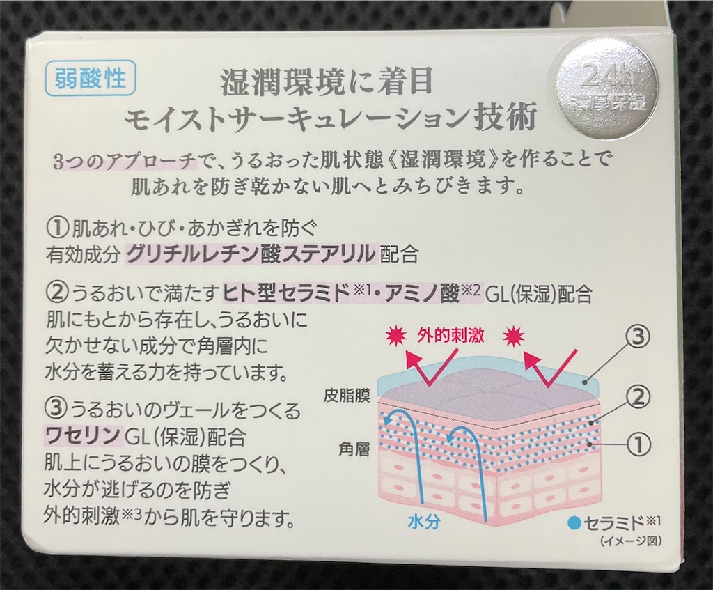 f:id:mikanusagi:20240211170112j:image