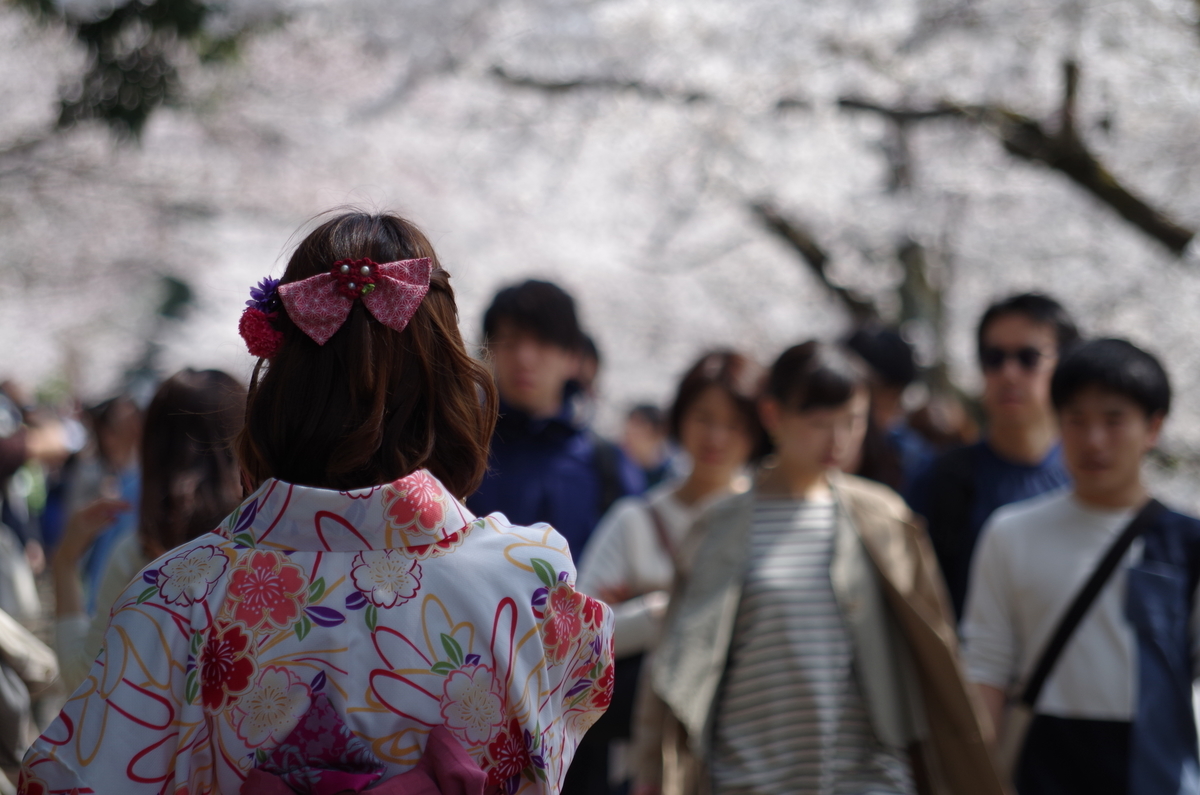 f:id:mikanyaa:20190416232551j:plain