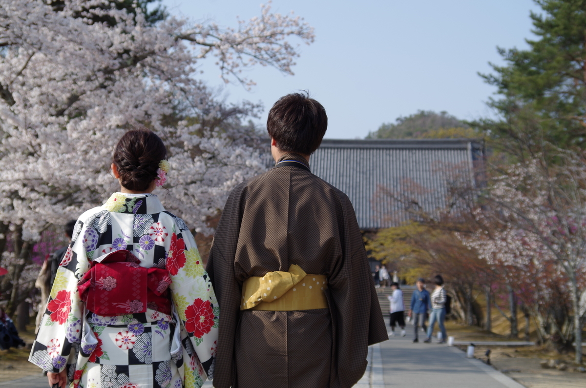 f:id:mikanyaa:20190416235202j:plain