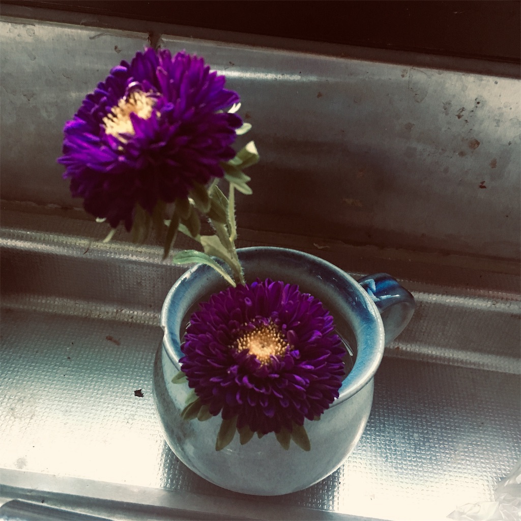 f:id:mikari9:20190814141823j:image f:id:mikari9:20190814141823j:image