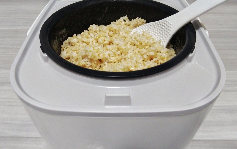 新品 HATSUGA LABO 発芽玄米炊飯器 ELM-102 発芽玄米炊飯器 HATSUGA