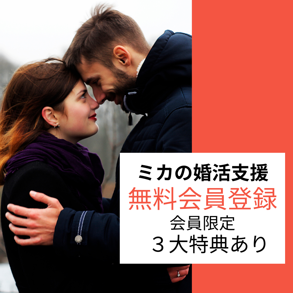 f:id:mikashimo:20200217180844p:plain f:id:mikashimo:20200217180844p:plain