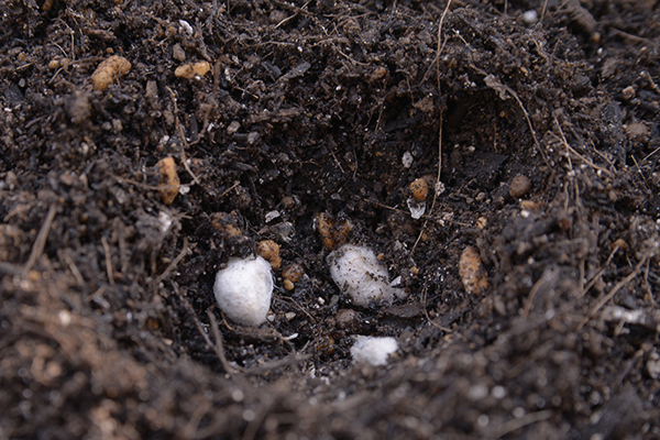 f:id:mikata-uranai:20161025094622j:plain