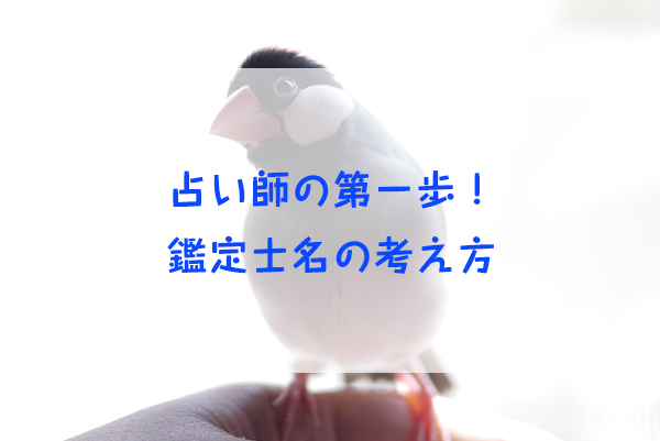 占い師の名前の決め方 最低限のルール 占い師ミカタ 四柱推命 東京 新宿 渋谷 吉祥寺