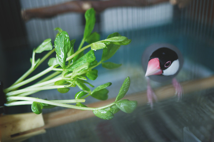 何回も死んで、何回も生まれ変わった方がいいよ。