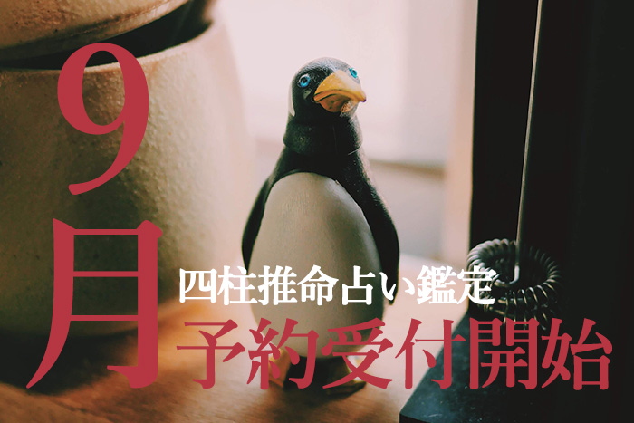 お知らせ画像