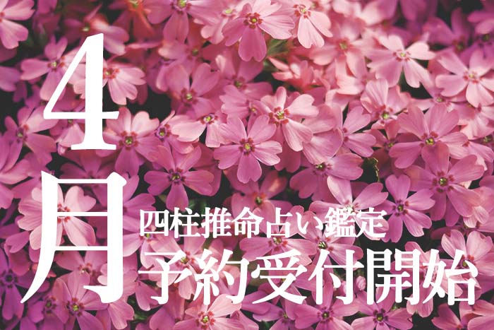 4月鑑定予約受付開始！