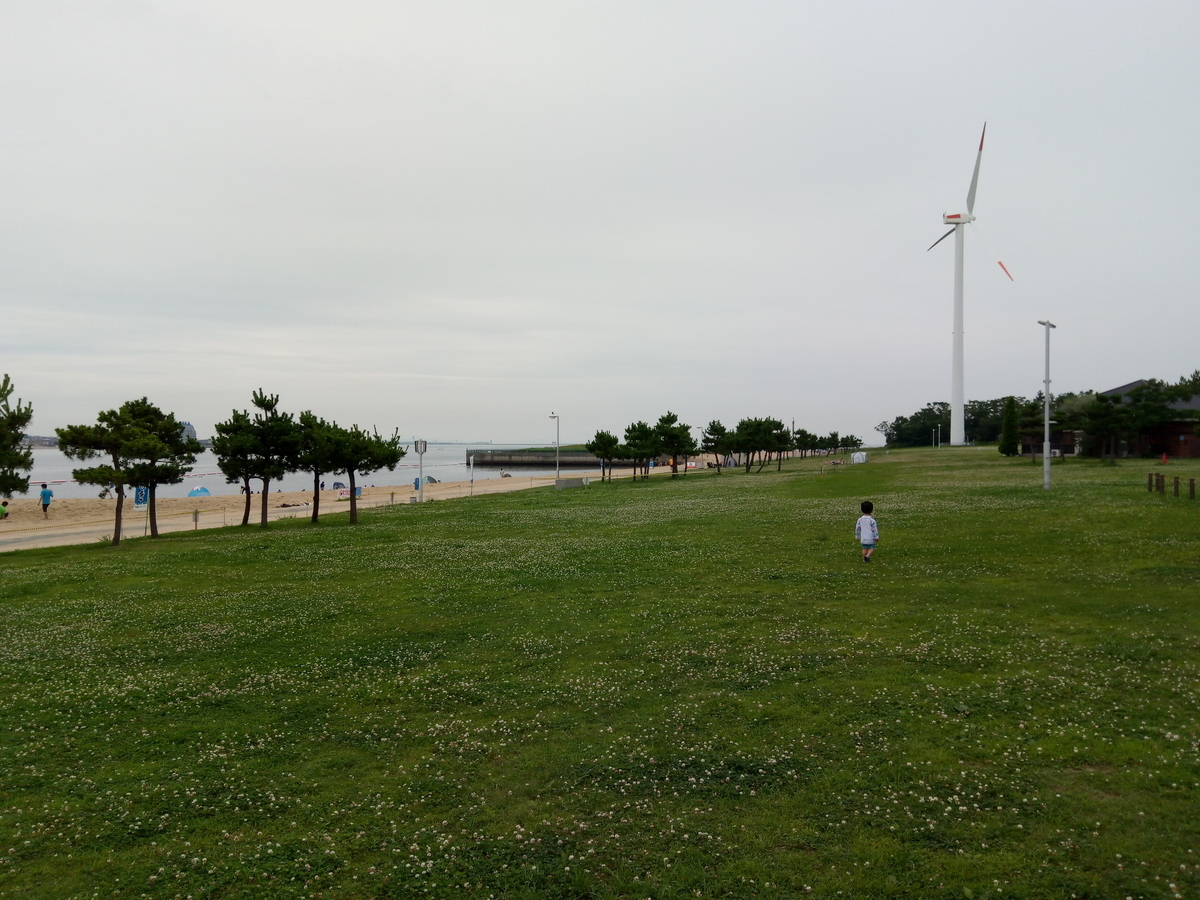 f:id:mikatakun:20190716070653j:plain