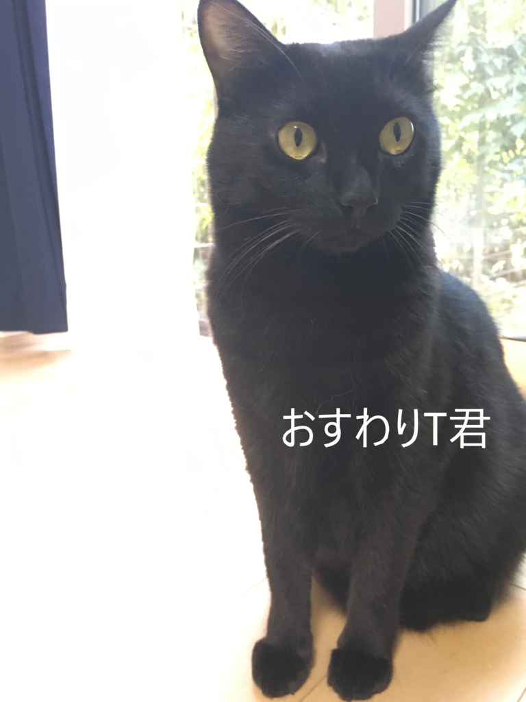 f:id:mikataroutokilyu:20181026204748p:plain