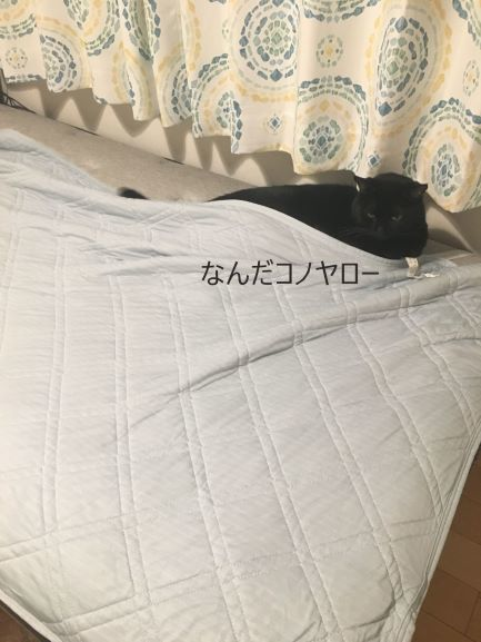 f:id:mikataroutokilyu:20181026210930p:plain