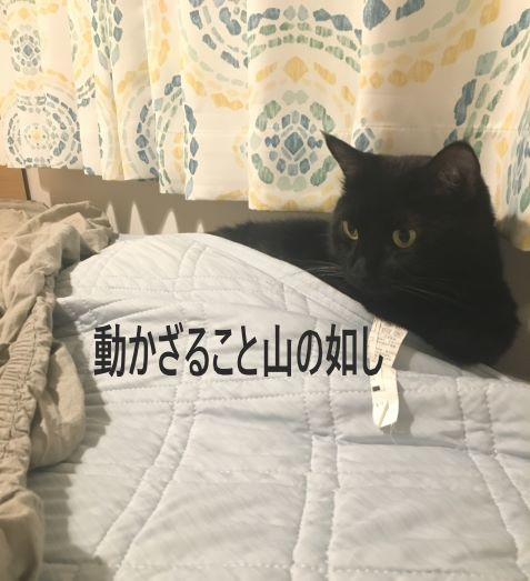 f:id:mikataroutokilyu:20181026214441p:plain