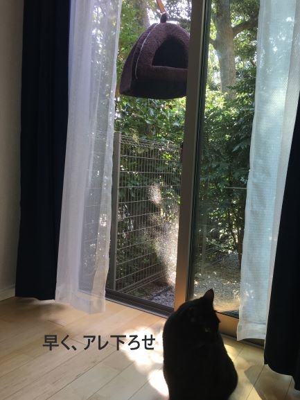 f:id:mikataroutokilyu:20181029194136p:plain