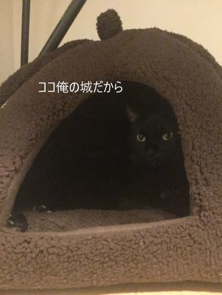 f:id:mikataroutokilyu:20181029195515p:plain