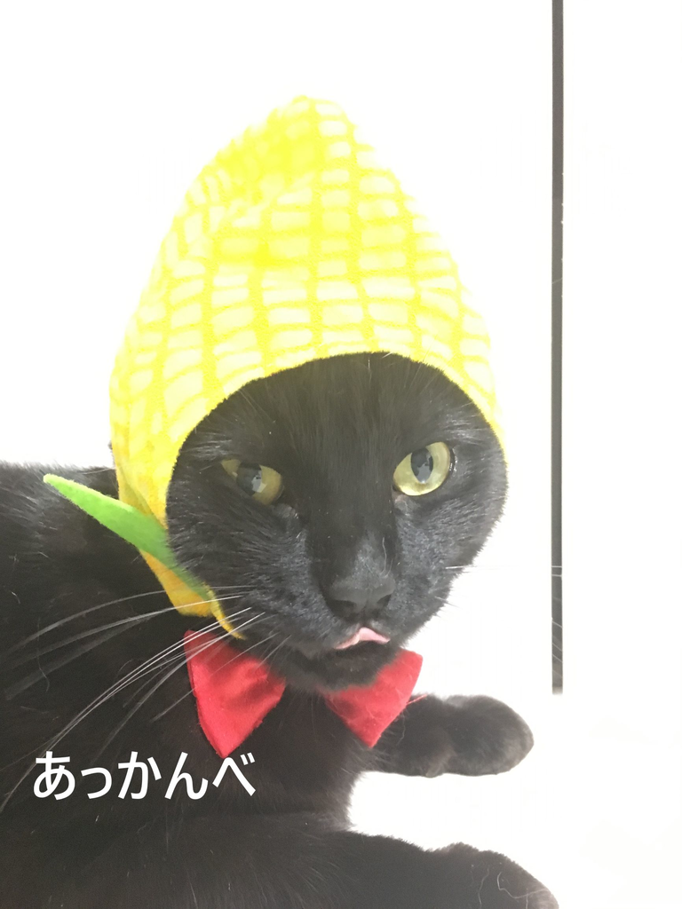 f:id:mikataroutokilyu:20181031150621p:plain