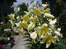 f:id:mikawakinta63:20060704161023j:image f:id:mikawakinta63:20060704161023j:image