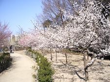 f:id:mikawakinta63:20080308094537j:image f:id:mikawakinta63:20080308094537j:image