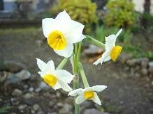 f:id:mikawakinta63:20080314173336j:image f:id:mikawakinta63:20080314173336j:image