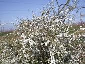 f:id:mikawakinta63:20080322093822j:image f:id:mikawakinta63:20080322093822j:image