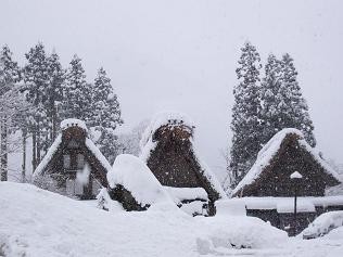 f:id:mikawakinta63:20081231105516j:image f:id:mikawakinta63:20081231105516j:image