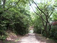 f:id:mikawakinta63:20090627134422j:image