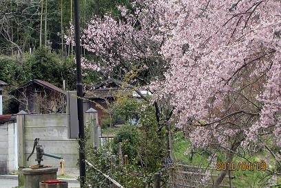 f:id:mikawakinta63:20100409093400j:image f:id:mikawakinta63:20100409093400j:image