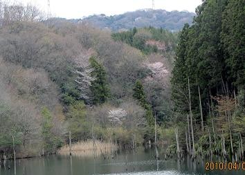f:id:mikawakinta63:20100409100838j:image f:id:mikawakinta63:20100409100838j:image