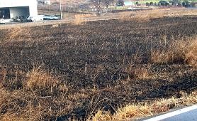 f:id:mikawakinta63:20110209084740j:image