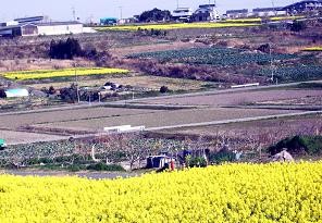 20110412090410