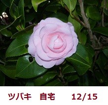 f:id:mikawakinta63:20111213073409j:image:right f:id:mikawakinta63:20111213073409j:image:right