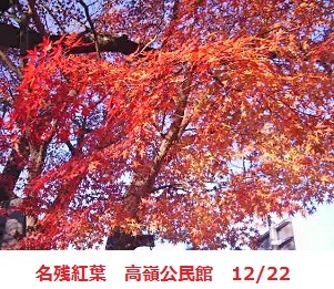 20111223085407