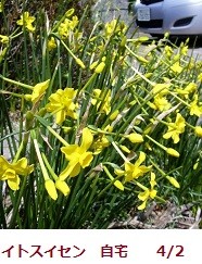 f:id:mikawakinta63:20120402114204j:image:right