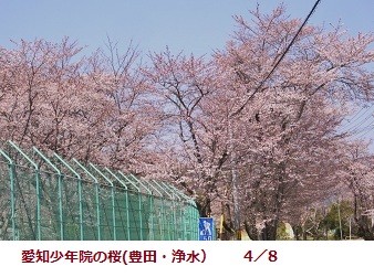 f:id:mikawakinta63:20120408132647j:image:left