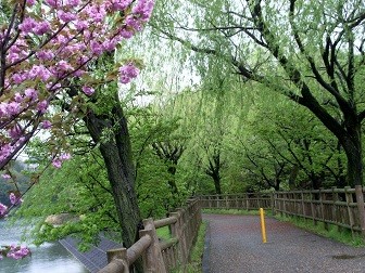 f:id:mikawakinta63:20120426123945j:image:right